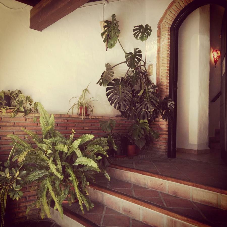 Casa Lareymora Algarrobo Exterior foto